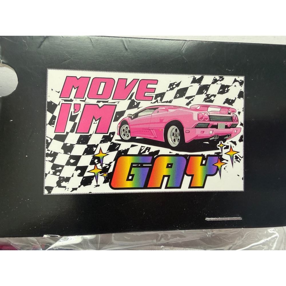 BodyRage Move I'm Gay Flag 36x60 Spencer's Pink Racing‎ Car Pride Wall Decor NEW
